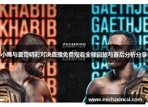 小鹰与盖奇精彩对决直播免费观看全程回放与赛后分析分享