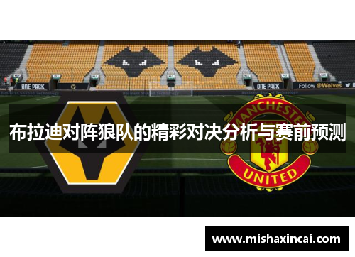 布拉迪对阵狼队的精彩对决分析与赛前预测