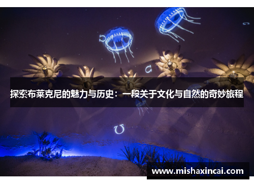 探索布莱克尼的魅力与历史：一段关于文化与自然的奇妙旅程